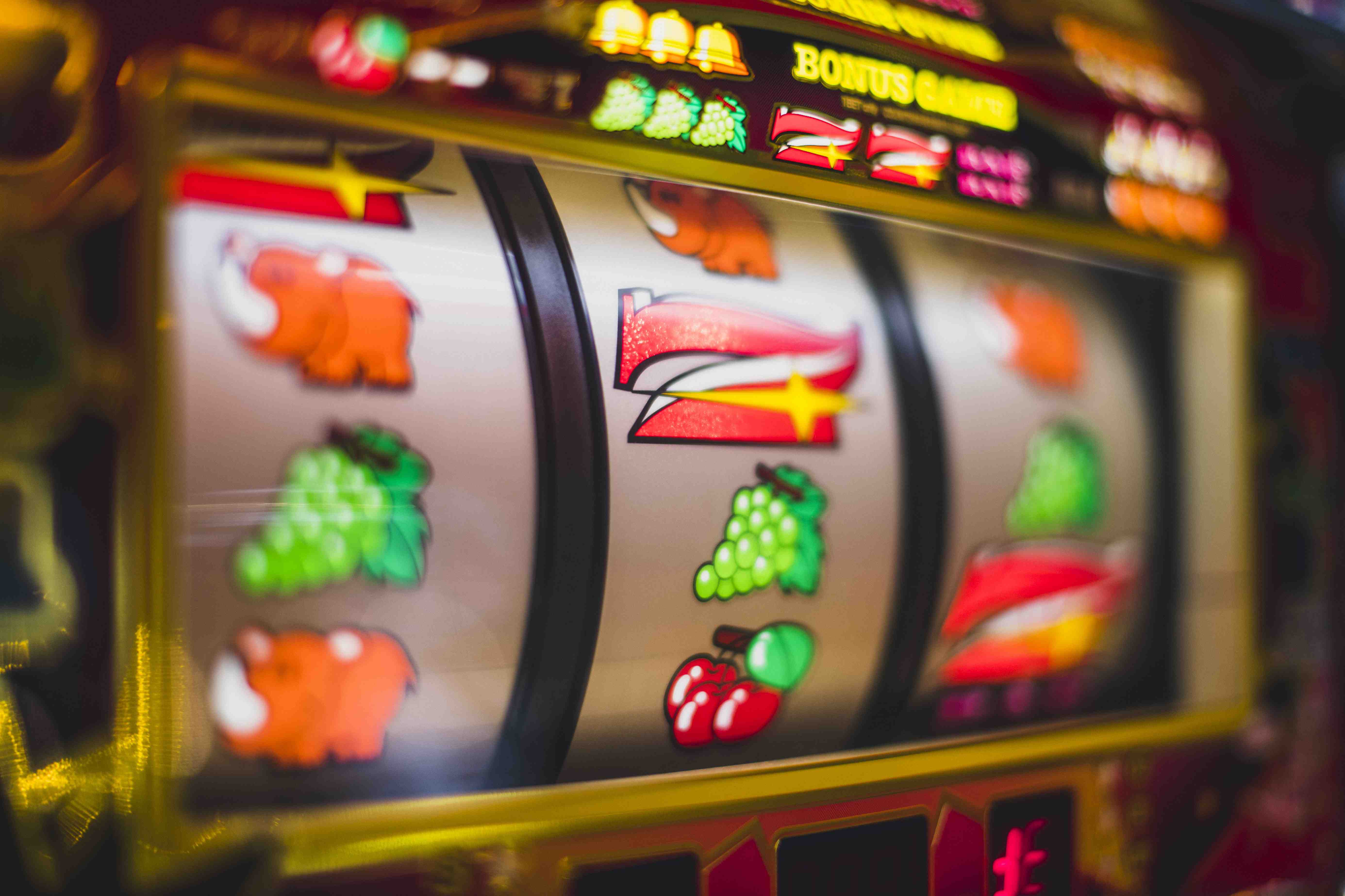 7d bet